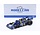 Tyrrell Ford P34-2 #3 Winner Sweden GP 1976 - 1:18 - Modelcar Group