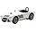 Shelby Cobra CSX2008 #98 2nd SCCA Riverside 1963 - 1:43 - TrueScale Miniatures