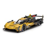 Cadillac Cadillac V-Series.R 5.5L V8 #01 Team Cadillac Racing 2nd IMSA 12 Sebring 2024 - 1:18 - Top Speed