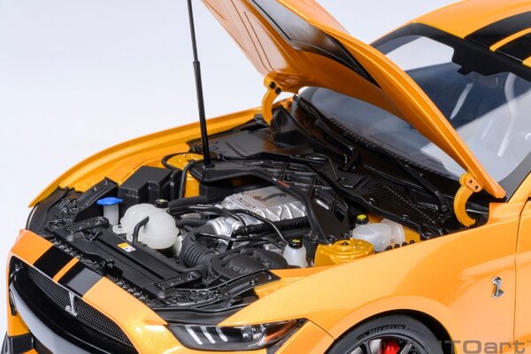 Ford Ford Mustang Shelby GT500 Coupe 2023 - 1:18 - AUTOart Ford Ford Mustang Shelby GT500 Coupe 2023 - 1:18 - AUTOart