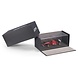 Formule 1 Ferrari F310 #1 Season 1996 M.Schumacher - 1:43 - GP Replicas