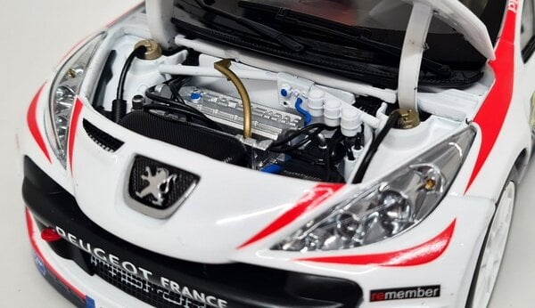 Peugeot Peugeot 207 S2000 #2 Rally WM Rally Monte Carlo 2011  -1:18 - Sun Star