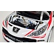 Peugeot Peugeot 207 S2000 #2 Rally WM Rally Monte Carlo 2011  -1:18 - Sun Star