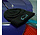Stipt Beanie