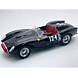 Ferrari Ferrari 250 TR Pontoon-Fender #124 SCCA Virginia 1959 - 1:18 - Tecnomodel Mythos Ferrari Ferrari 250 TR Pontoon-Fender #124 SCCA Virginia 1959 - 1:18 - Tecnomodel Mythos