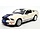 Shelby Cobra GT500 2007 - 1:24 - Welly