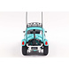 Volkswagen Volkswagen Beetle Buggy Baja 1976 - 1:18 - Solido