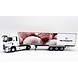 Renault Renault T-Line High Truck 4x2 + Reefer Semi Trailer 3 Axle 'FSL Transports' 2021 - 1:43 - Eligor Renault Renault T-Line High Truck 4x2 + Reefer Semi Trailer 3 Axle 'FSL Transports' 2021 - 1:43 - Eligor