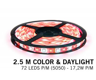 RGBW LED strip color + daylight- 2,5 M - 72 LED's P/M - 12V