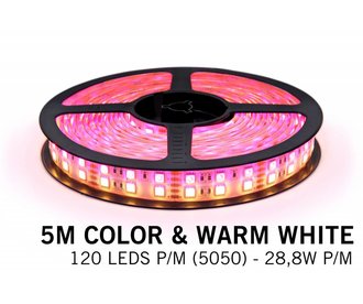 RGBW LED strip 600 leds 5 meter double row type 5050 12V 144W