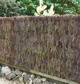 Fensobruc   FENSOBRUC Brezo rustico DBL EXTRA H:150 L:3m