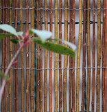 Effenso Weiden Zaun L:5m h:200 cm