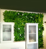 fensoleaf FENSOLEAF Greenwall Jasmin d'été 100cm x 100cm