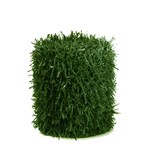Fensograss FENSOGRASS H:190 mm L:260cm GROEN