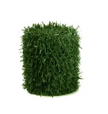 FENSOGRASS H:190 mm L:260cm VERDE