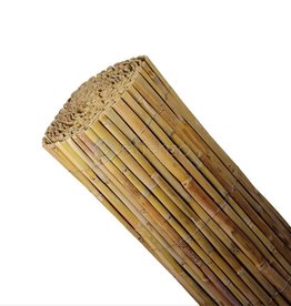 Gespleten bambou L:5m h:100 cm