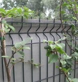 Fensonet Color FENSONET 300gr PEARL GREY H:180cm  L:25m