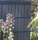 Fensoplate composite Fensoplate Composite Kit 2D 8/6/8 H:203 cm L:250cm Wenge Brown