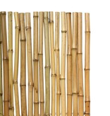 Effenso Massive Bambusrohre 2,5 naturel  h:200x L:180