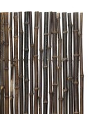 Effenso Massive Bambusrohre 2,5 nigra h:100x L:180