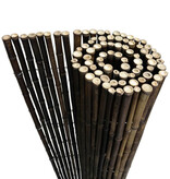 Effenso Massive Bambusrohre 2,5 nigra h:150x L:180