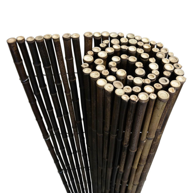 Effenso Massive Bambusrohre 2,5 nigra h:180x L:180