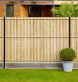 Fensowood Fensowood Pine M:55 h:153 cm L:250 cm V-Large