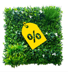 Fensoleaf FENSOLEAF Greenwall Jasmin d'été 100cm x 100cm