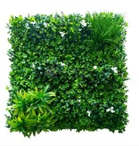 Fensoleaf FENSOLEAF Greenwall Jasmin d'été 100cm x 100cm