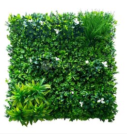Fensoleaf FENSOLEAF Greenwall Jasmin d'été 100cm x 100cm