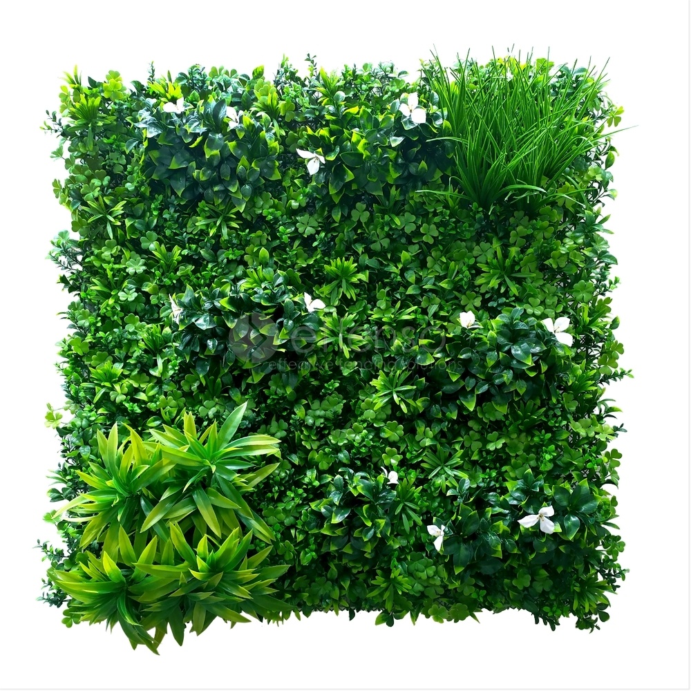 Fensoleaf FENSOLEAF Greenwall Jasmin d'été 100cm x 100cm