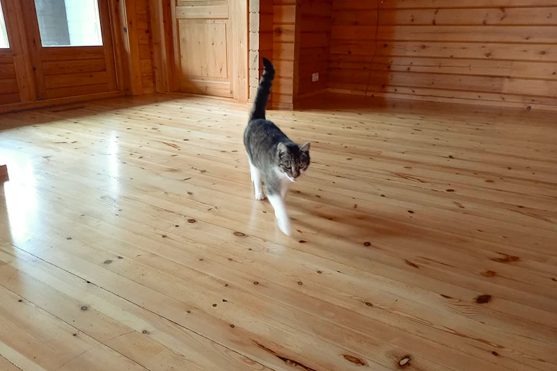 Houten vloer behandelen