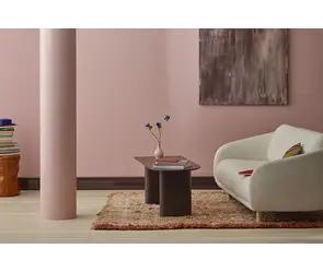 Deuren, ramen en meubels verven 