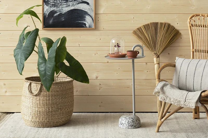 Houten wanden behandelen