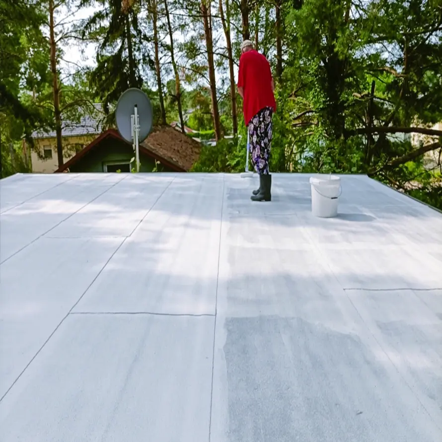 Bitumen  verven op dak vakantie woning