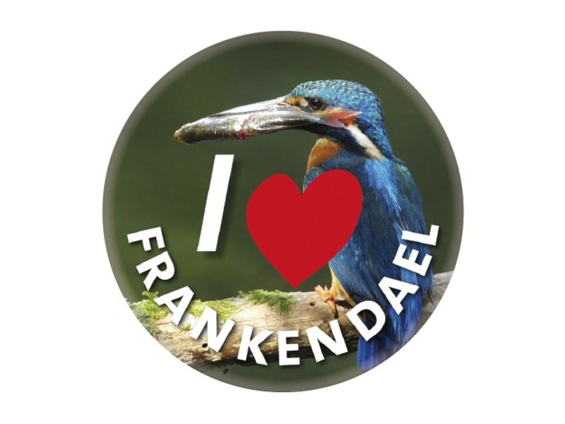 25mm button met speld