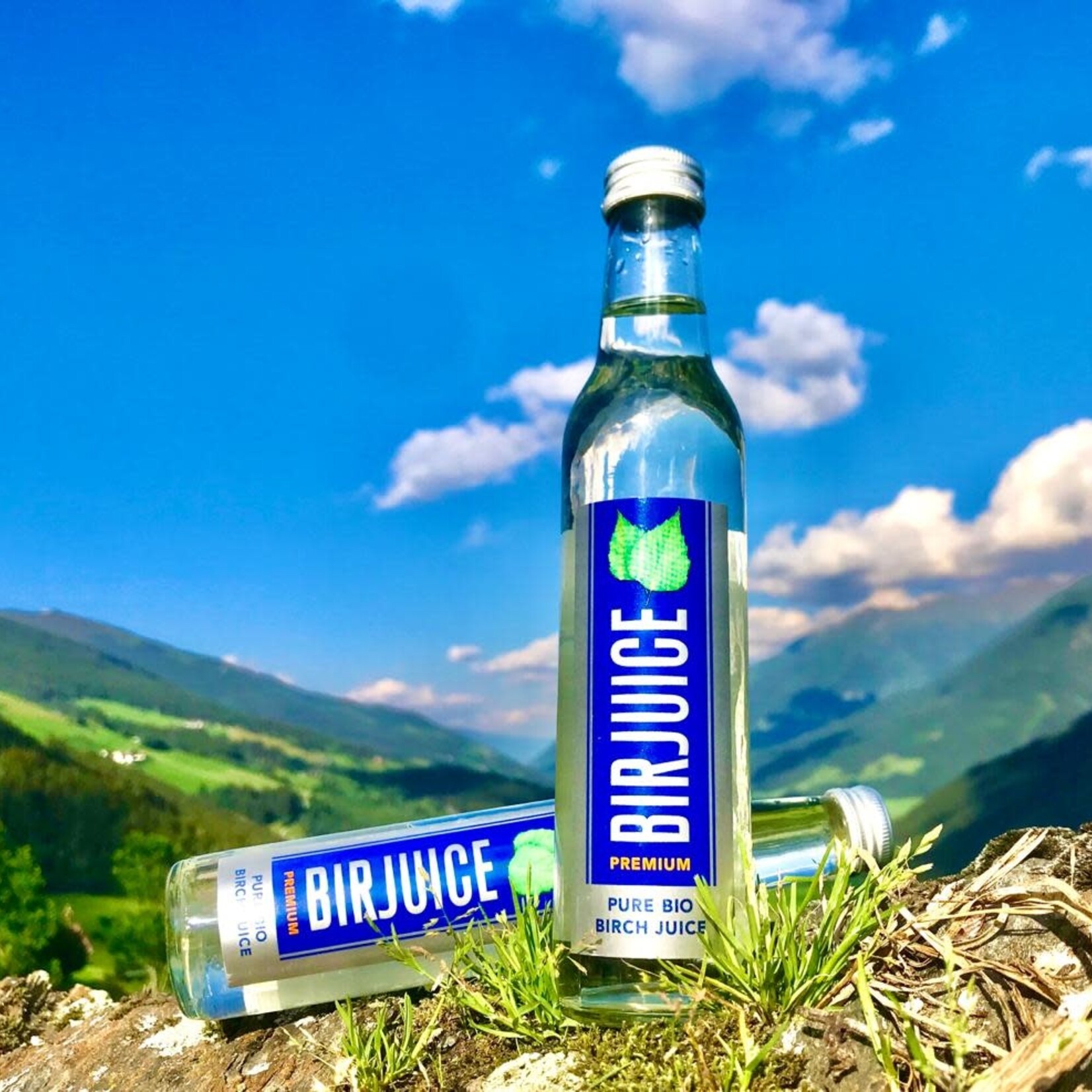 BirJuice 6-Pack