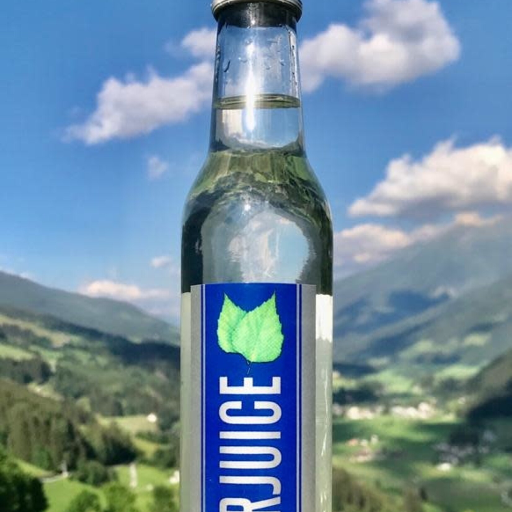 BirJuice 6-Pack