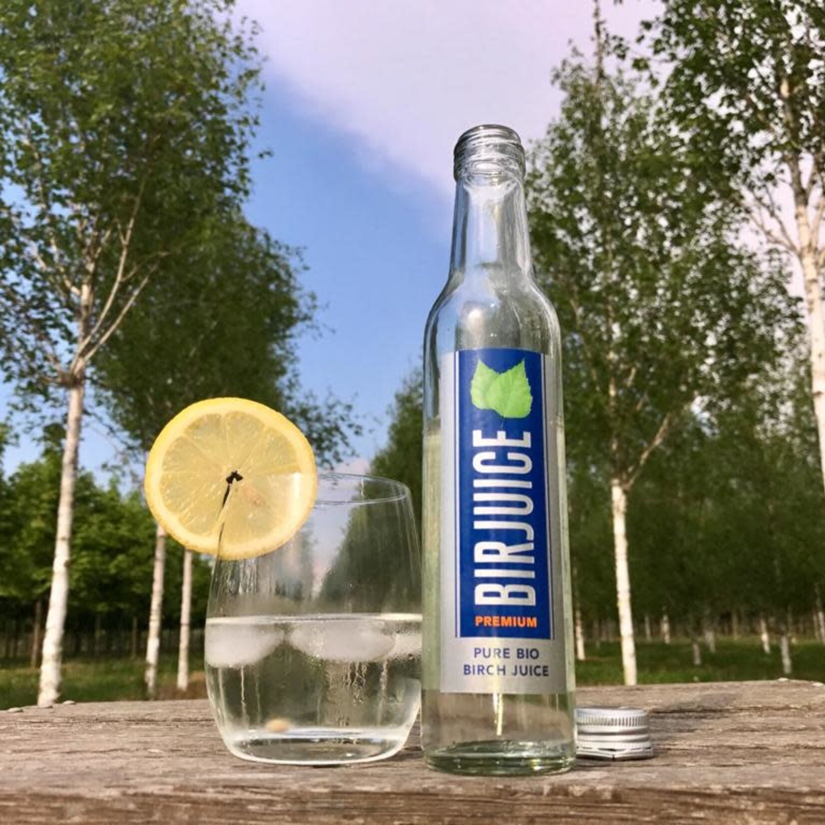 BirJuice 6-Pack