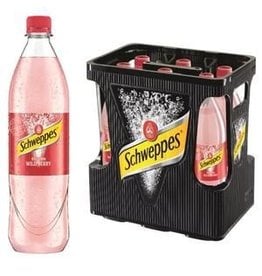 Schweppes Russian Wild Berry 6x100cl PET