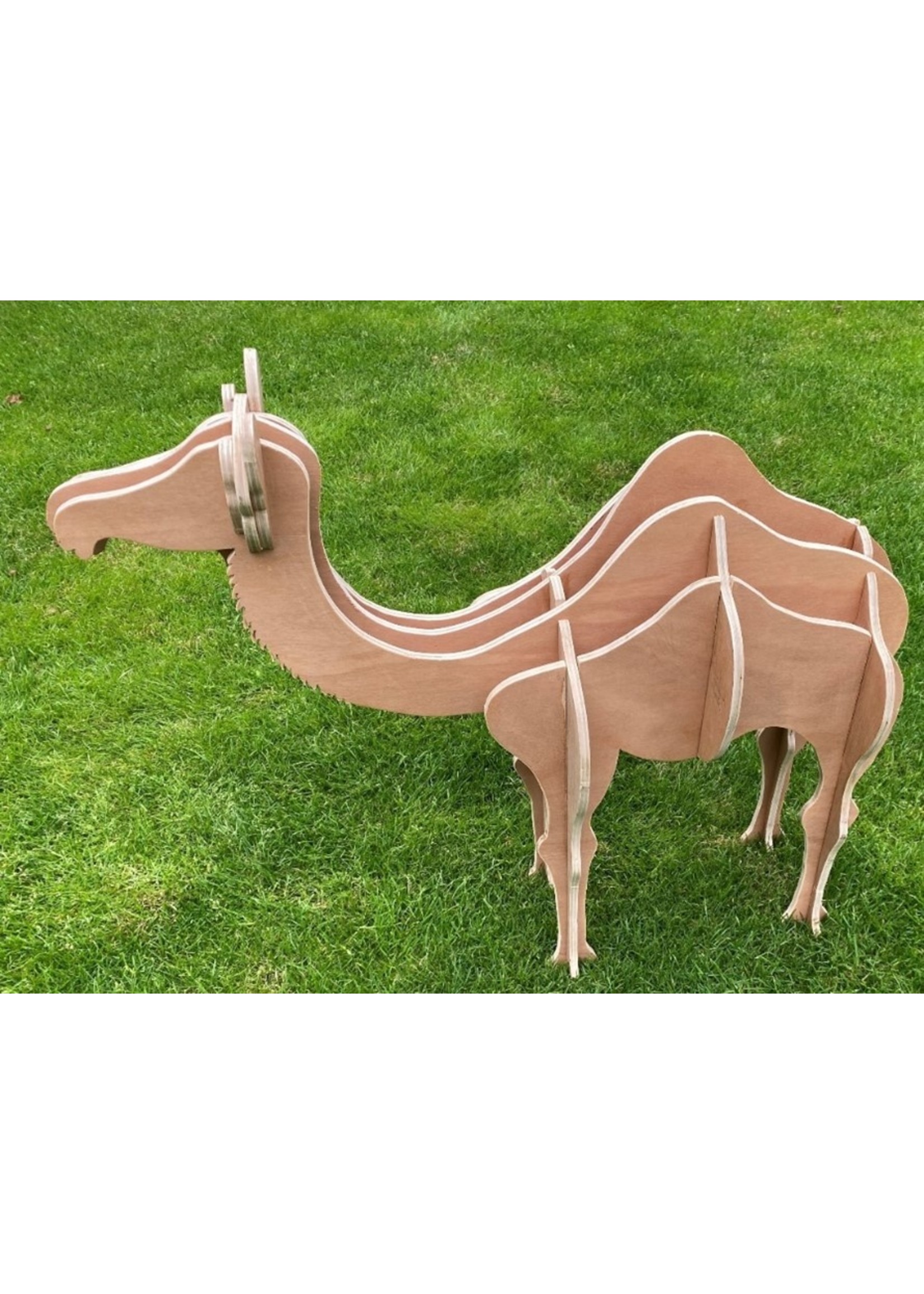 Houten kameel - bouwtekening om zelf een kameel te maken