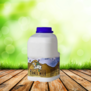 14 bottles (á 500ml) Fresh and raw camel milk