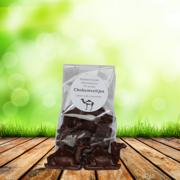 Dutch Oasis ChoCamels - Chocolats au lait de chameau, en forme de chameau