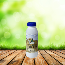 20 x 250ml Fresh raw camel milk  -  €4,38/bottle