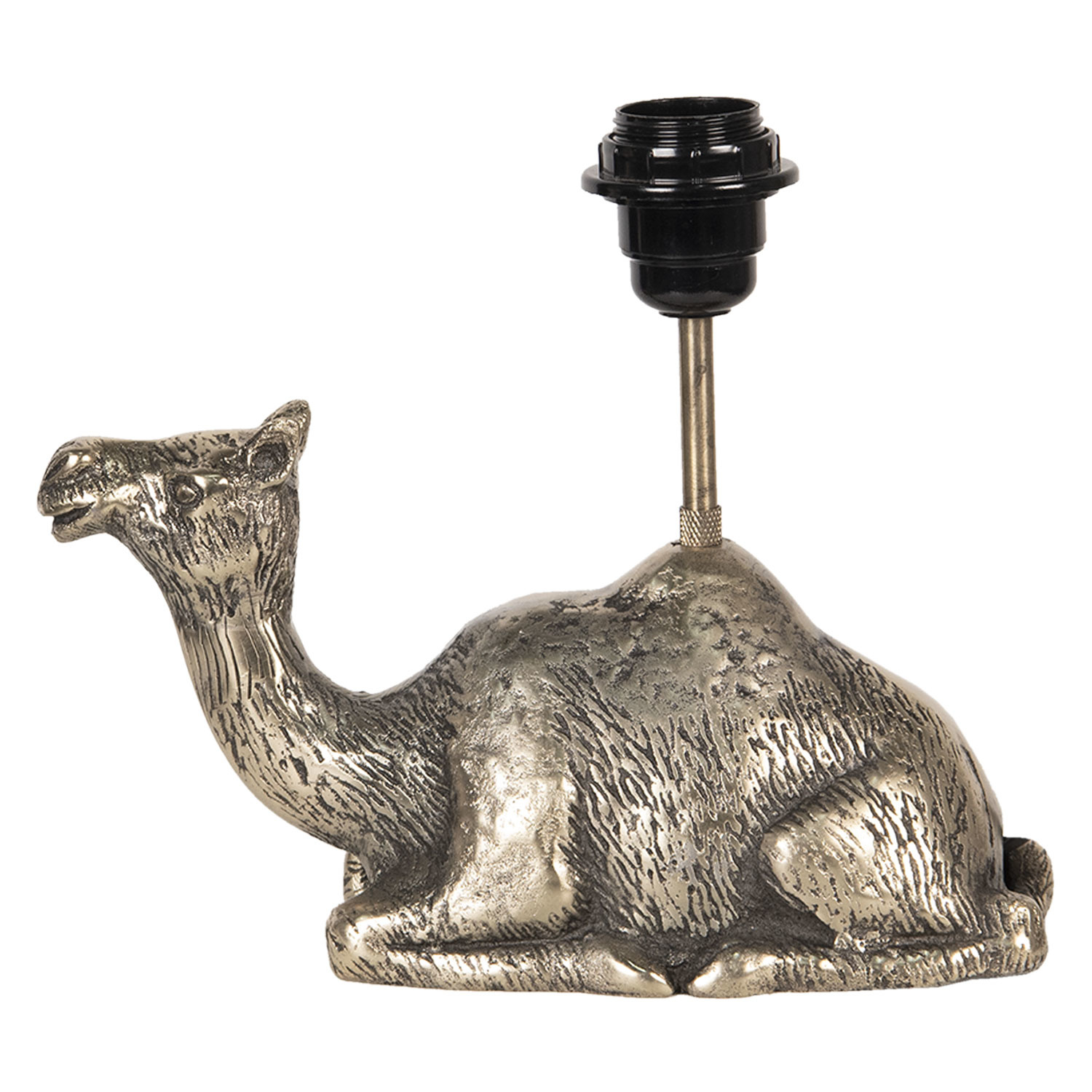 Gold dromedary camel lamp