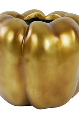 Gouden paprika vaas of bloempot van kunststof