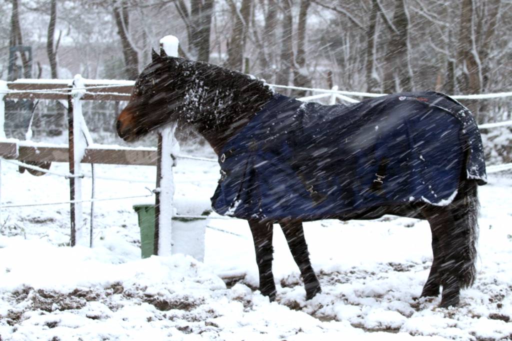 Winter & Rain Ware