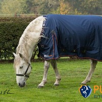 Fryskware PURA Turnout