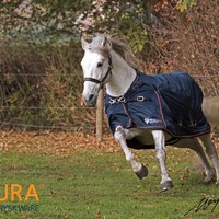 Fryskware PURA Turnout
