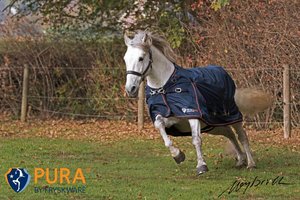 Fryskware PURA Turnout